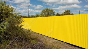 Профнастил С-8 п/э RAL 1018 (цинково-жёлтый) 0,5 мм